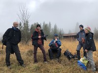 Auf Wiedersehen mit der Wiesmahd