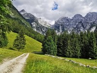 Die Via Alpina braucht dich!