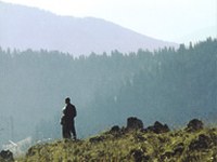 Bausteine für eine nachhaltige Berggebietspolitik