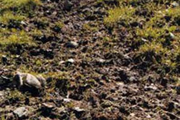 Internationale Tagung zur Erosionsproblematik