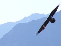 Transalpiner Austausch zur Schutzgebietsforschung