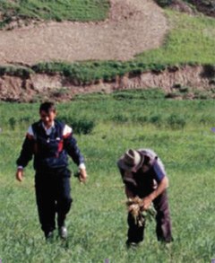 Internationaler Tag der Berge zum Thema Biodiversität