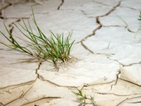 Wasserknappheit hat weit reichende Konsequenzen