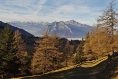 Europäische Tage des Bergwalds