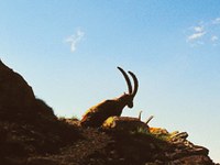 Grossschutzgebiete im touristischen Trend