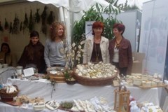 News aus einem DYNALP2 Projekt: Alchemilla - Die Seele der Pflanzen