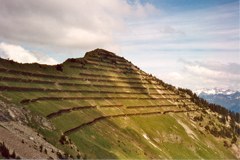 Klimaschutz: tun wir es richtig?