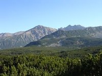 Qualität der Schutzgebiete in der EU mangelhaft