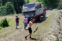Förderung der Berglandwirtschaft in Sicht