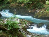 II. Alpenzustandsbericht untersucht Blut und Herzschlag der Alpen-Gewässer