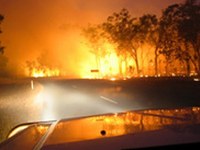 Bewilligung des EU- Projektes ALPF FIRS