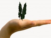 Graubünden/CH geht im Naturschutz mit gutem Beispiel voran