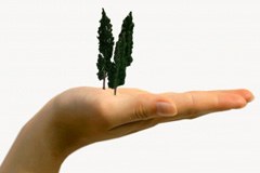 Graubünden/CH geht im Naturschutz mit gutem Beispiel voran