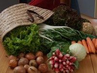 Sonthofen/D setzt sich für Fairtrade und das Klima ein