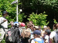 Gemeinden können den Klimawandel mit Phenoclim beobachten