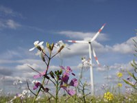 Energiepreis für Gemeinden