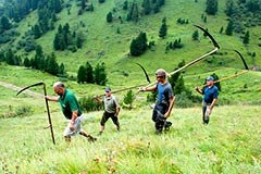 Neue Schutzgebiete in den Alpen