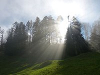 50 Jahre Naturparks in Österreich