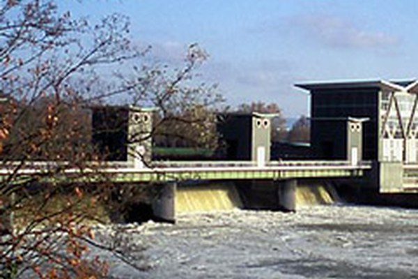 Rhein bald Lachsfluss