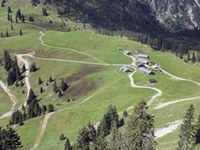 Förderung der Almwirtschaft