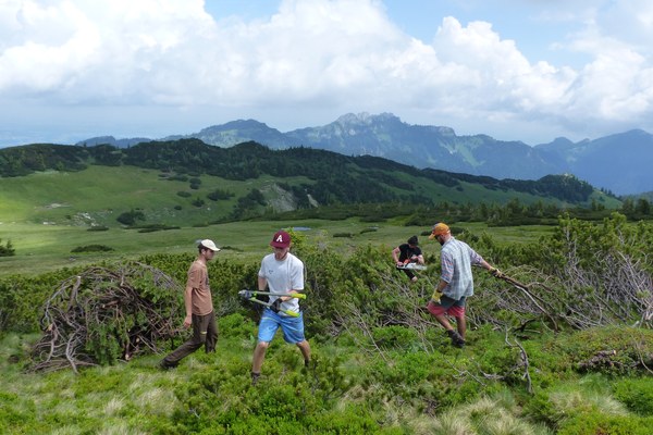 Bürgerbeteiligung: Wie wir Land gewinnen