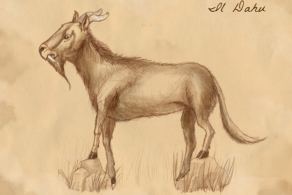 Dahu in Norditalien gesichtet