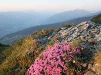 Das Bodenschutzprotokoll der Alpenkonvention – Bedeutung und Anwendung