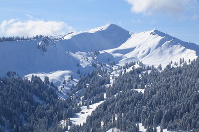 «Der Tourismus kannibalisiert sich selbst»