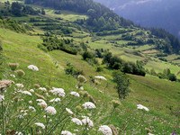 Ein regionales Austauschsystem