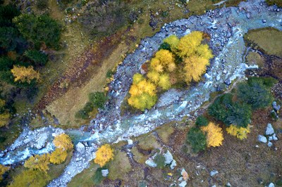 Gebirgsflüsse erhalten und renaturieren
