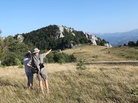 Handeln statt palavern