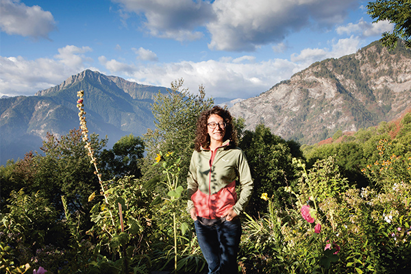 Ideen wie Apfelbäume