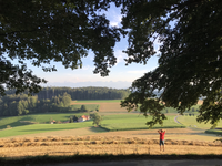 Kleine Feuer, grosse Herausforderungen