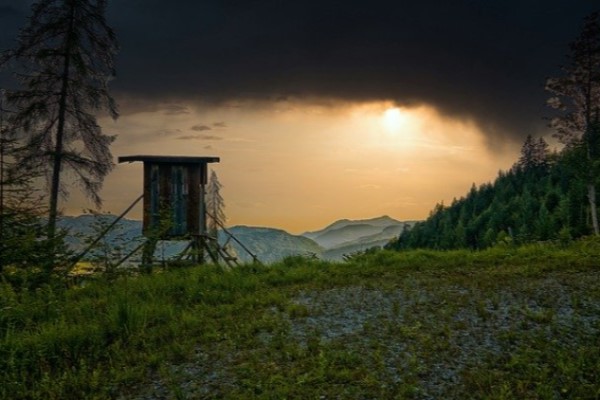 Kritik an neuen Jagdgesetzen