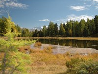 Mit Mooren aus dem Klimasumpf
