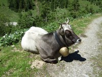 Mitmachen: Für gesunde Lebensmittel in Europa abstimmen!