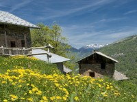 Naturschutz im Dienst der Menschen