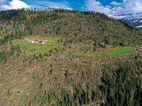 Ökosysteme aus dem Gleichgewicht