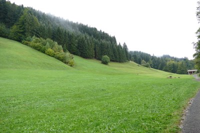 Staatlich geförderter Wachstumswahn bei Bayerns Seilbahnen und das Beispiel Grünten/Allgäu