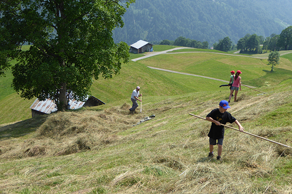 Sieg und Niederlage für neue Schutzgebiete