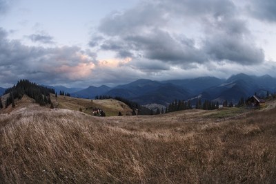 Zum Krieg in der Ukraine