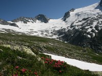 Stolzer Freudentag für den Hochgebirgs-Naturpark Zillertaler Alpen – Urkundenverleihung „Naturpark des Jahres 2015“