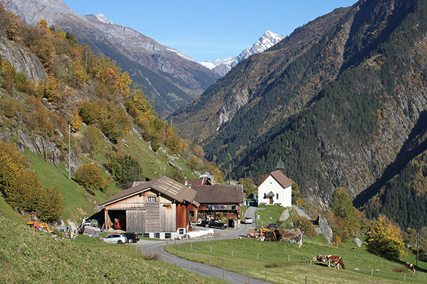 Verjüngung für die Berglandwirtschaft
