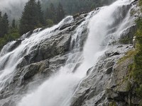 Was die Natur leistet