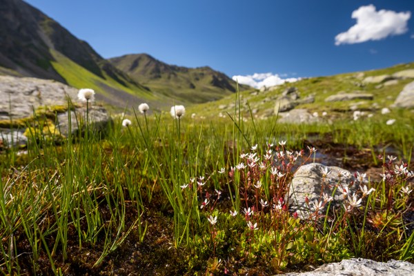 Wenig Nutzen, viel Zerstörung: Kritik an Wasserkraftplänen im Kaunertal