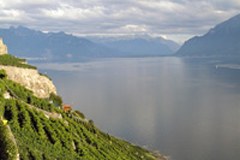 Resolution für die Einrichtung und Bewahrung einer "gentechnikfreien Zone Alpen"