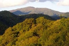 Resolution zur Rolle der lokalen Regierung und Verwaltung in der Nachhaltigen Entwicklung