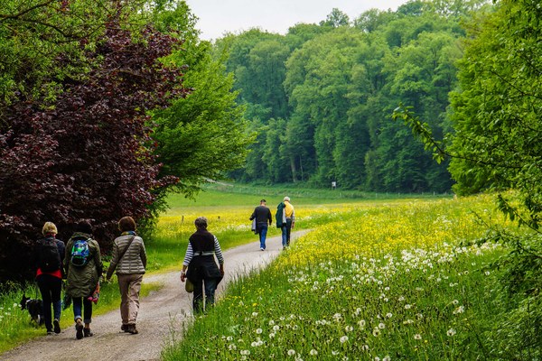 Waldbesuche im Fokus