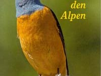 Vögel in den Alpen