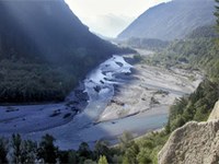 Einfluss der Habitatvielfalt auf den Artenreichtum